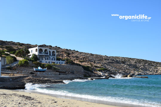 irakleia-alimia-limani-4