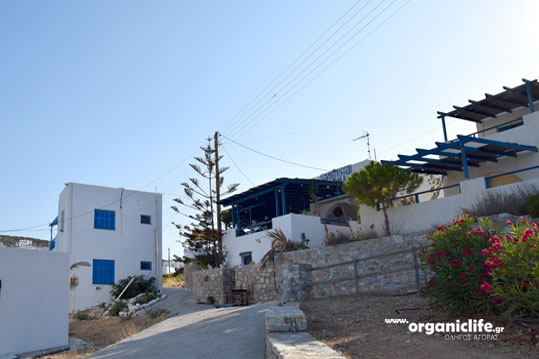 irakleia-alimia-oikismos-1