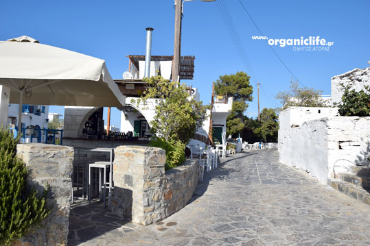 irakleia-alimia-oikismos-10