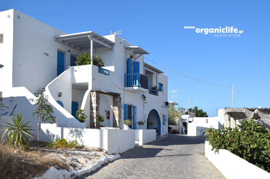 irakleia-alimia-oikismos-11