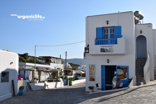 irakleia-alimia-oikismos-13