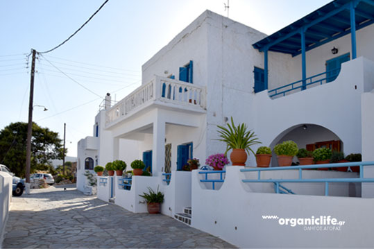 irakleia-alimia-oikismos-15