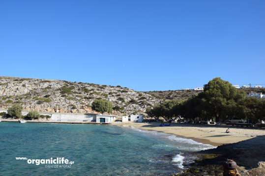 irakleia-alimia-oikismos-2