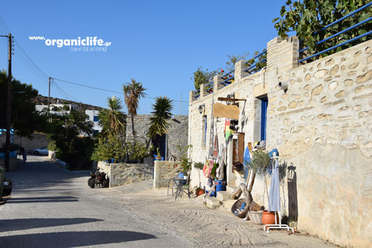 irakleia-alimia-oikismos-4