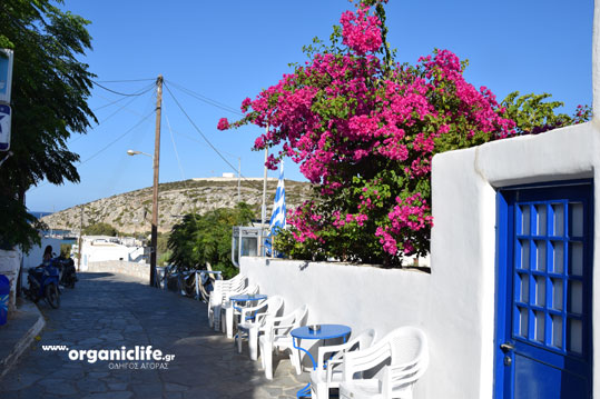 irakleia-alimia-oikismos-8