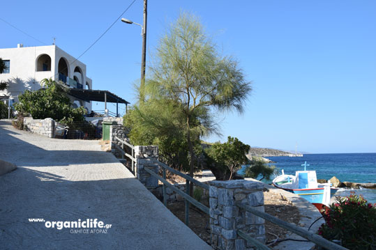 irakleia-alimia-oikismos