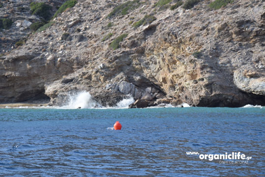 irakleia-alimia-simadoura