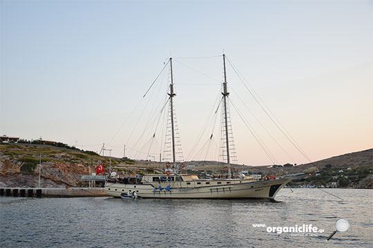 arkioi-tourkika-skafi-2