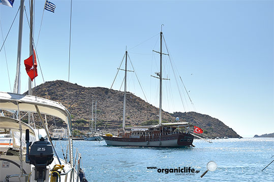 arkioi-tourkika-skafi