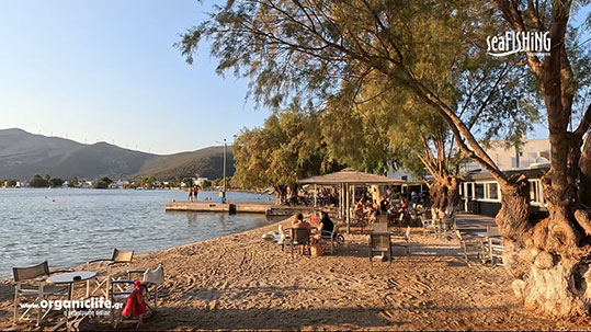 08-panagia-euboias---almiropotamos