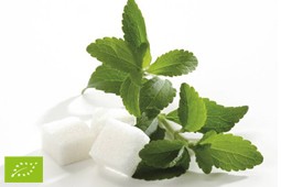 stevia9