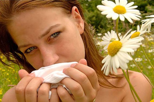 allergia