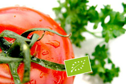 23-biologiki-ntomata-9