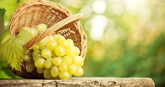 08-biologiko-stafili