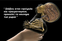 04-giati-den-prepei-kounate-mora-9