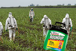 19-roundup-9
