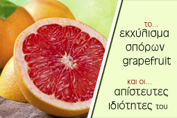 13-grapefruit-9