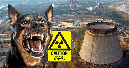 12-chernobyl-skilia