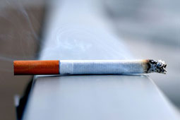 04-kapn-osteoporosi-9