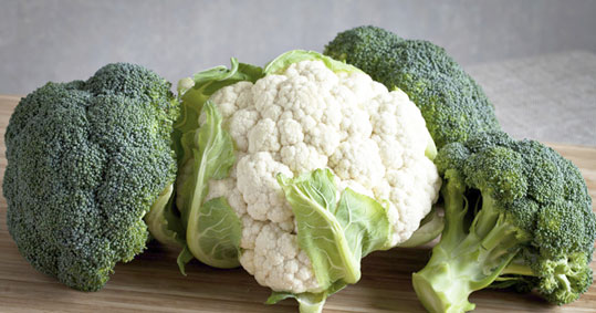 27-soulforafani