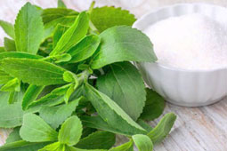 16-stevia-9